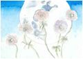 木下 紗衣 さん