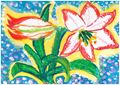 相原 和花 さん