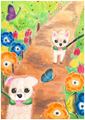 福井 ひなた さん